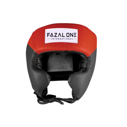 Head Guard