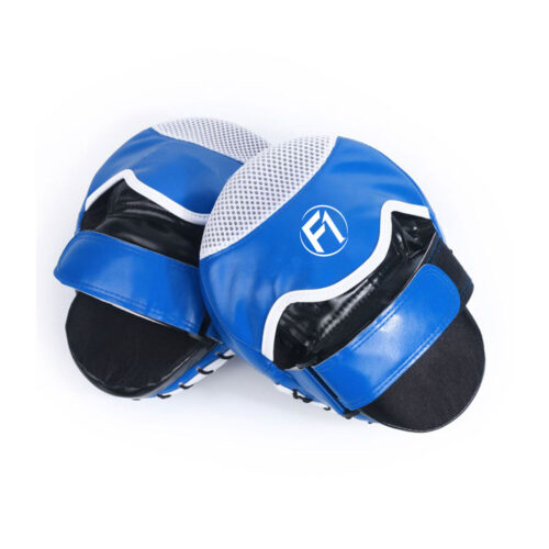 Focus Mitts